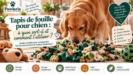 Tapis de fouille pour chien – à quoi sert-il et comment l’utiliser