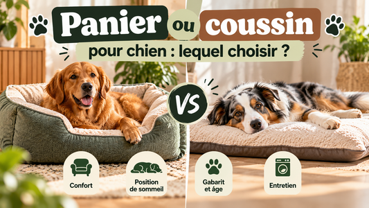Panier ou coussin pour chien – lequel choisir – guide Pawlaria