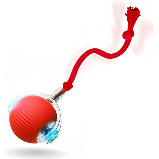 Balle Interactive Roulante Automatique pour Chien