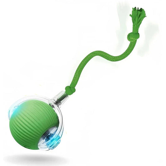 Balle Interactive Roulante Automatique pour Chien