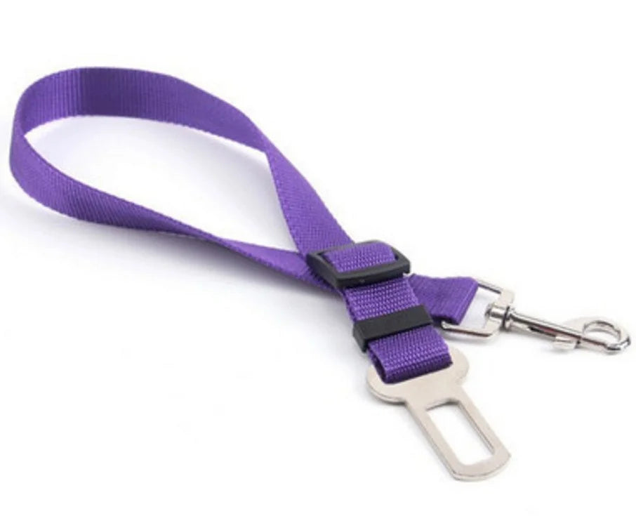 Ceinture de Sécurité Premium pour Chien