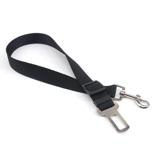 Ceinture de Sécurité Premium pour Chien