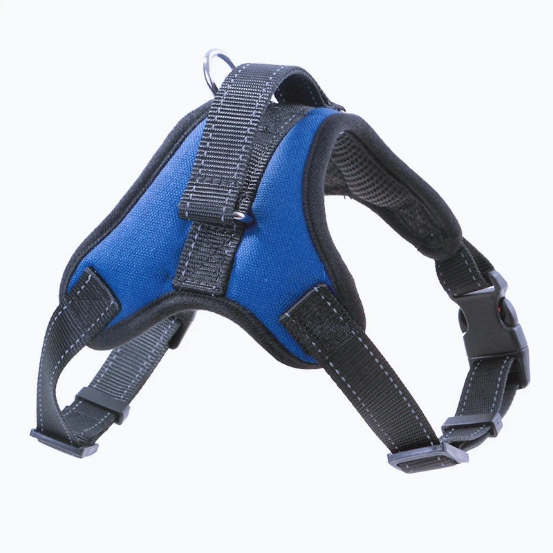Harnais Ajustable Premium pour Chien