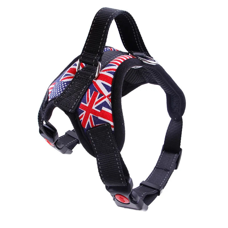 Harnais Ajustable Premium pour Chien