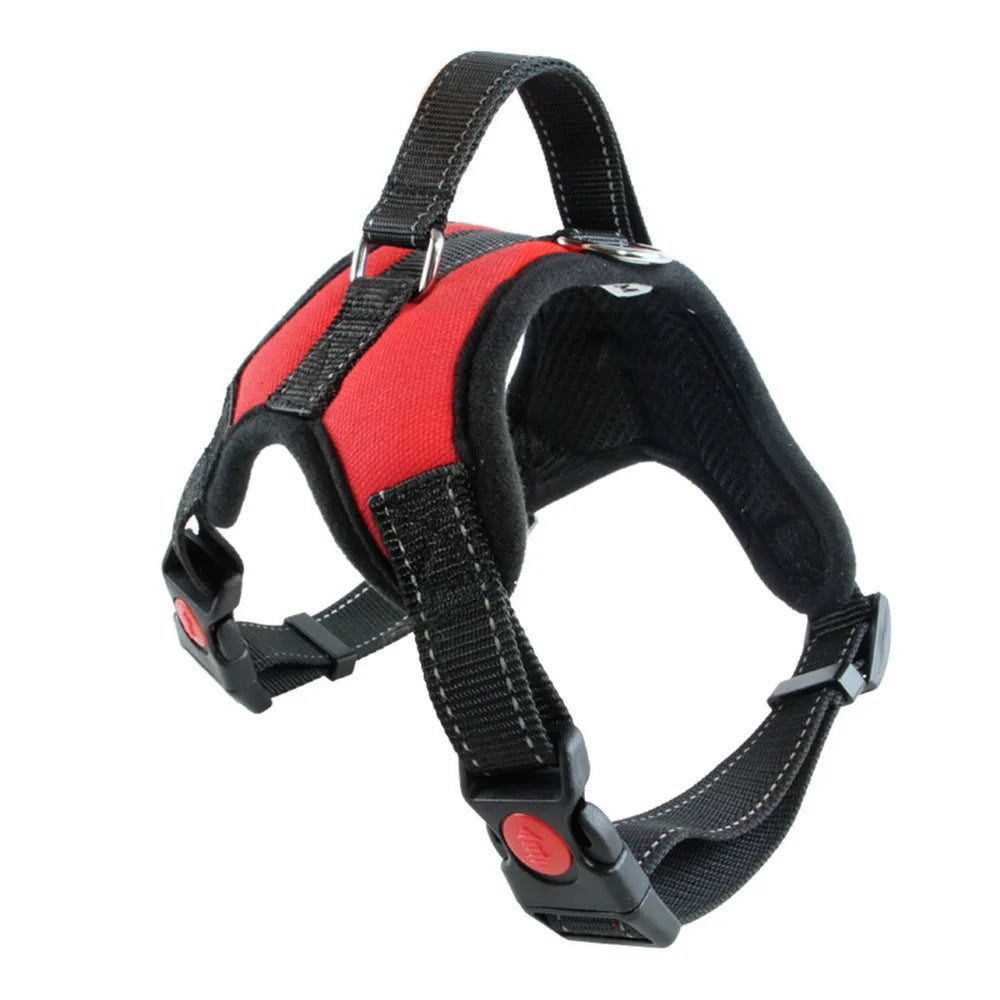 Harnais Ajustable Premium pour Chien
