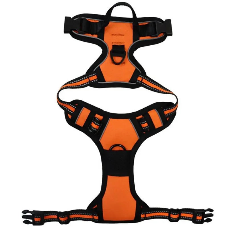 Harnais Outdoor pour Chien