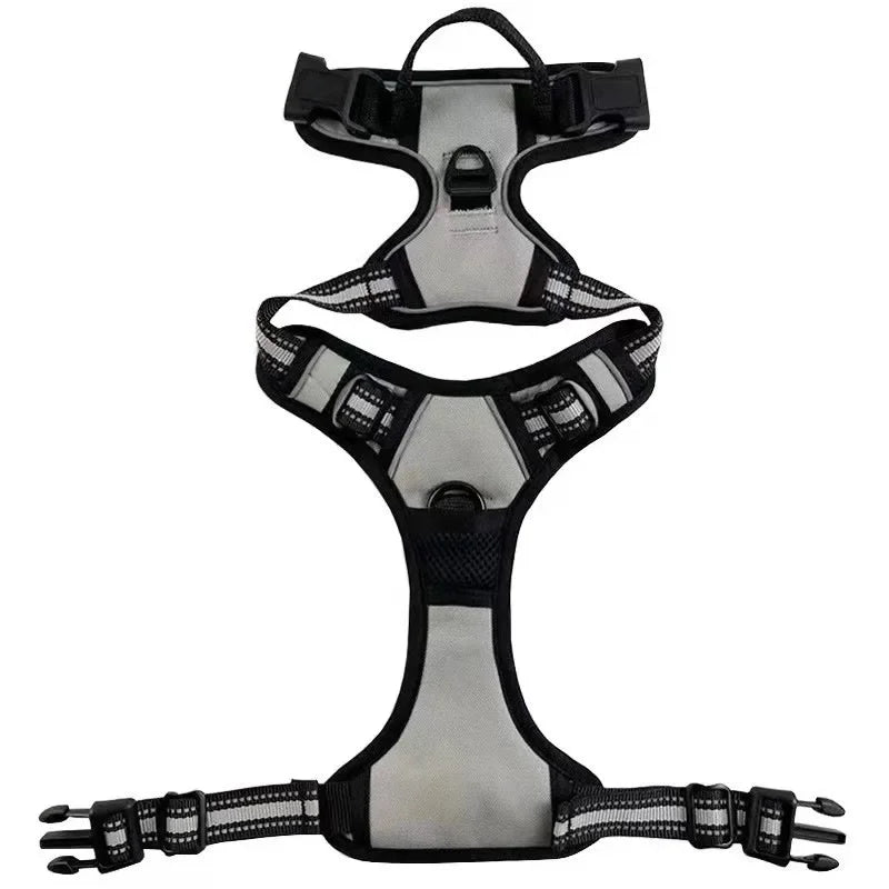 Harnais Outdoor pour Chien