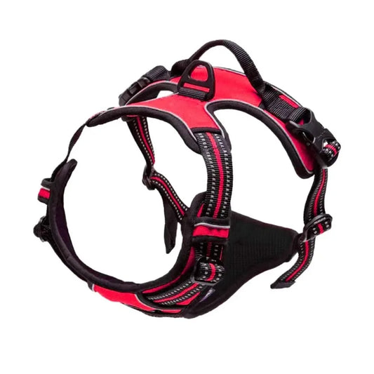 Harnais Outdoor pour Chien