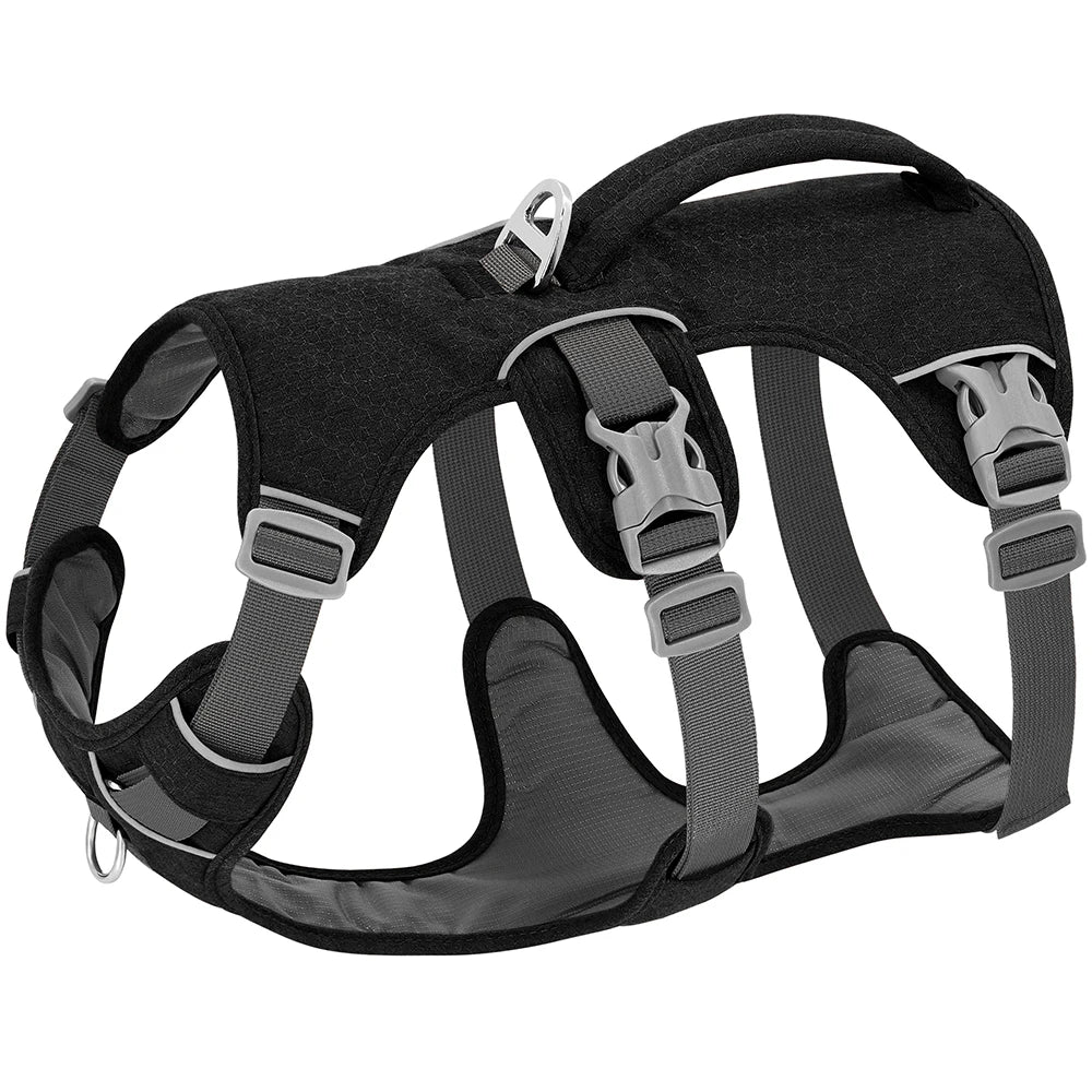 Harnais Liberté Anti-Fuite pour Chien