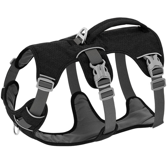 Harnais Liberté Anti-Fuite pour Chien