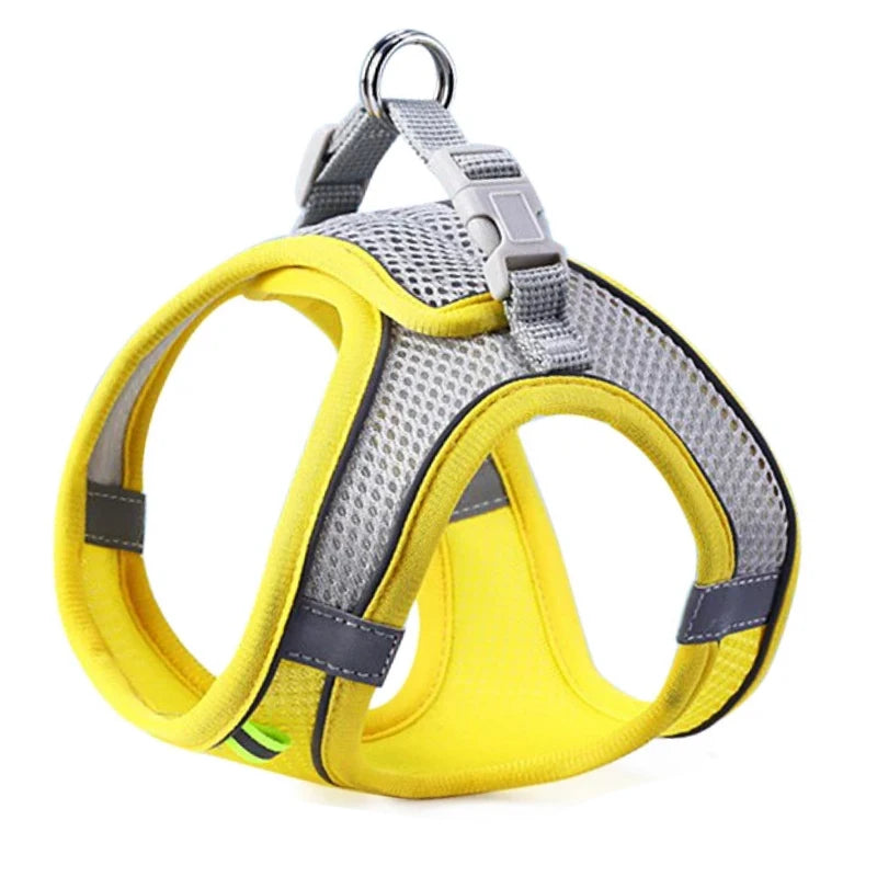 Harnais Junior pour Chiot et Petit Chien