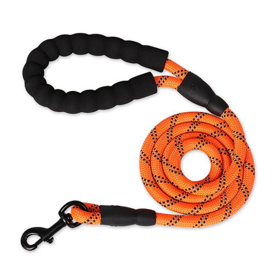 Laisse Corde Premium pour Chien
