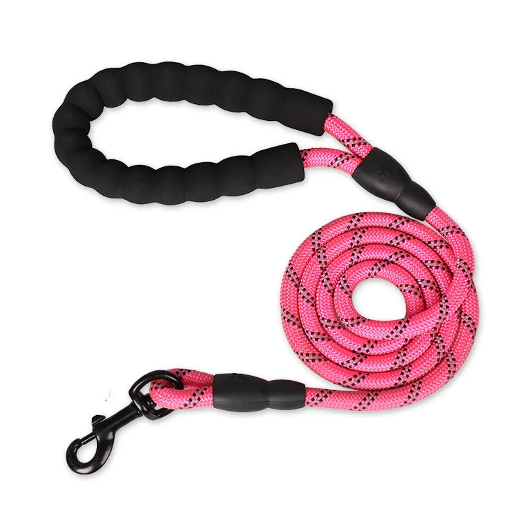 Laisse Corde Premium pour Chien