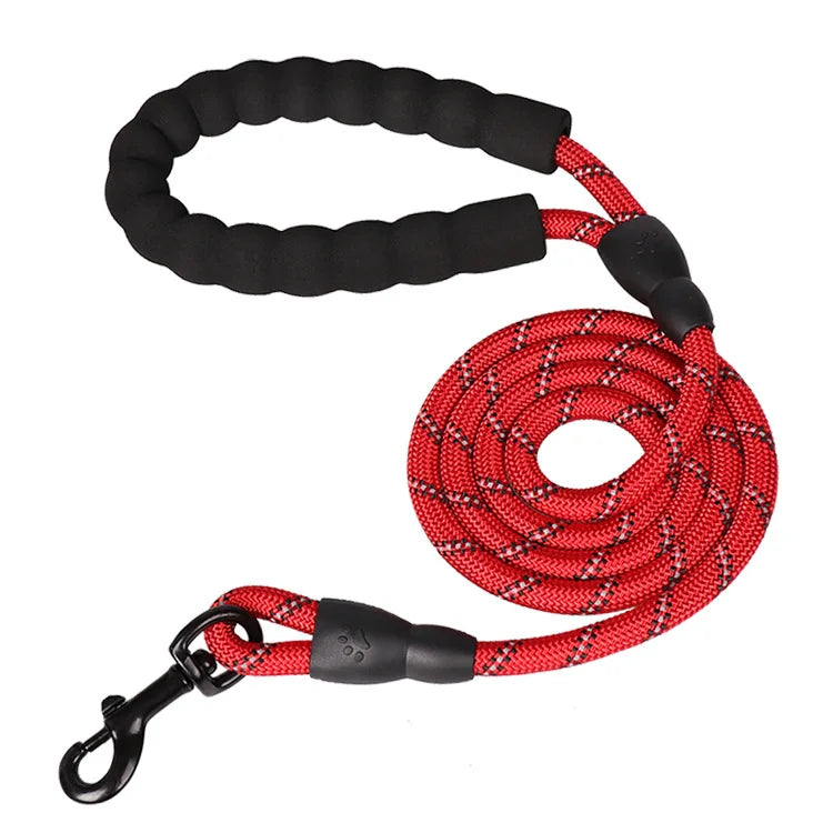 Laisse Corde Premium pour Chien