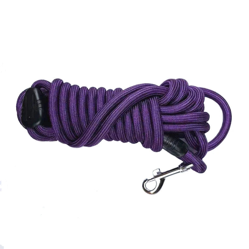 Laisse d'Entraînement Explorer pour Chien