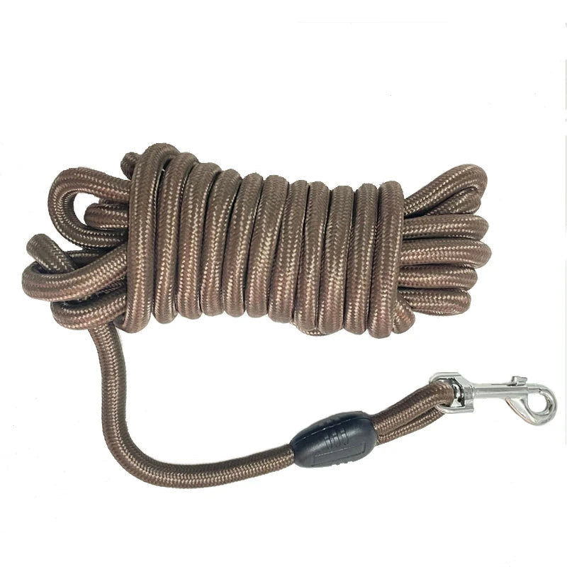 Laisse d'Entraînement Explorer pour Chien
