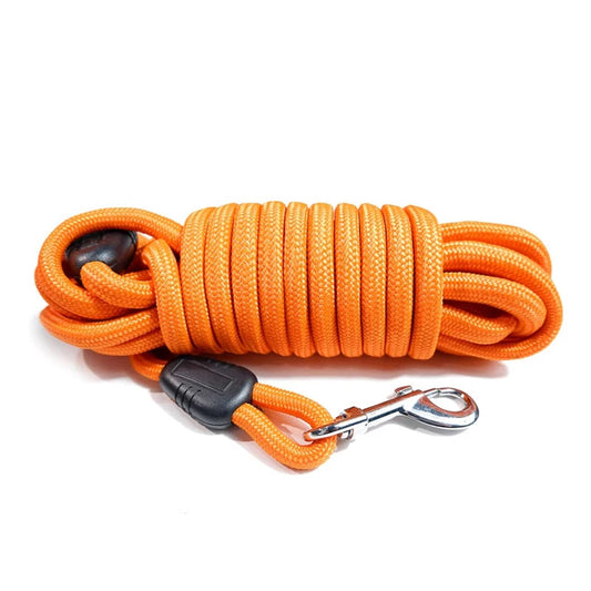 Laisse d'Entraînement Explorer pour Chien